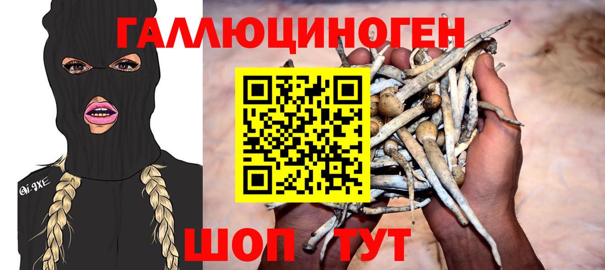 купить  сайты  Галлюциногенные грибы GOLDEN TEACHER  Вход с VPN  Новокуйбышевск 